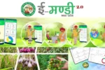 e mandi mp